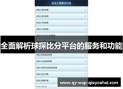 全面解析球探比分平台的服务和功能