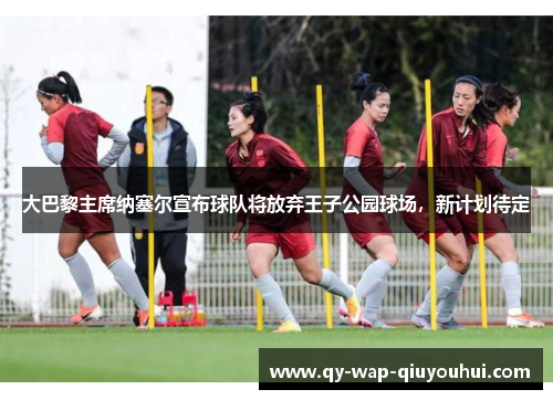 大巴黎主席纳塞尔宣布球队将放弃王子公园球场,新计划待定 大巴黎主席纳塞尔宣布球队将放弃王子公园球场,新计划待定