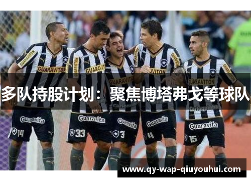 多队持股计划：聚焦博塔弗戈等球队
