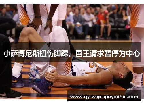小萨博尼斯扭伤脚踝,国王请求暂停为中心 小萨博尼斯扭伤脚踝,国王请求暂停为中心